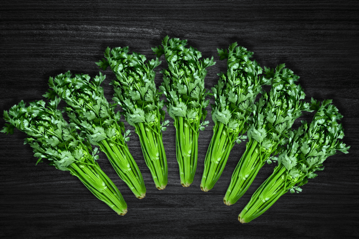 local-greens-kereviz-sapi-7li-celery