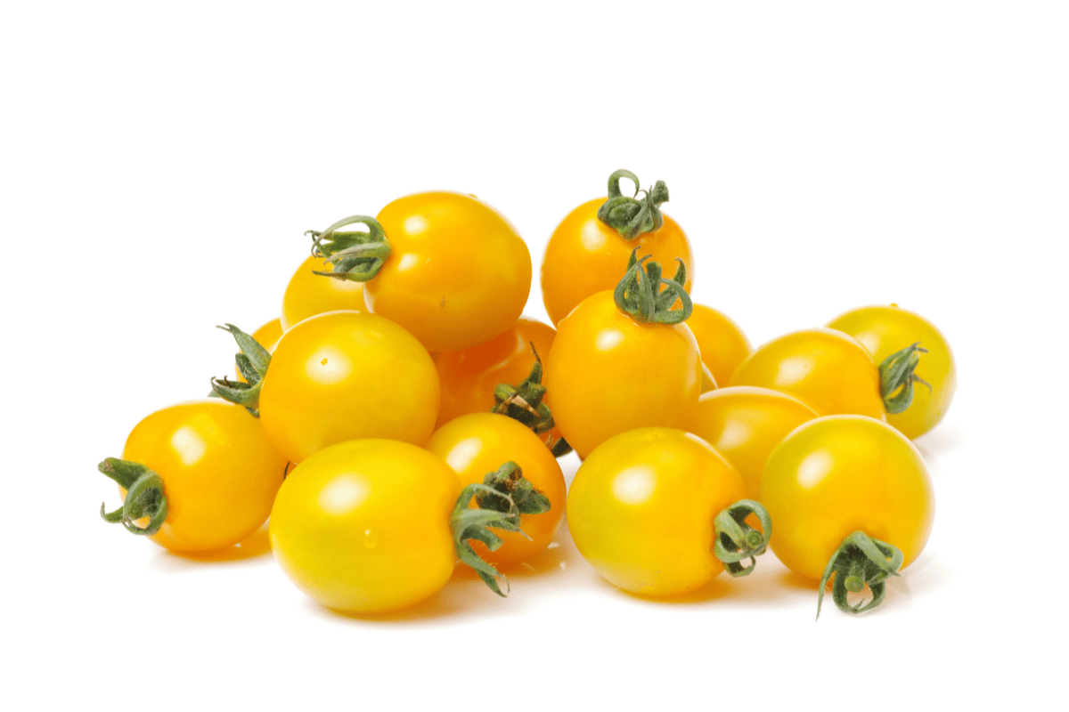 sari-cherry-domates-local-greens