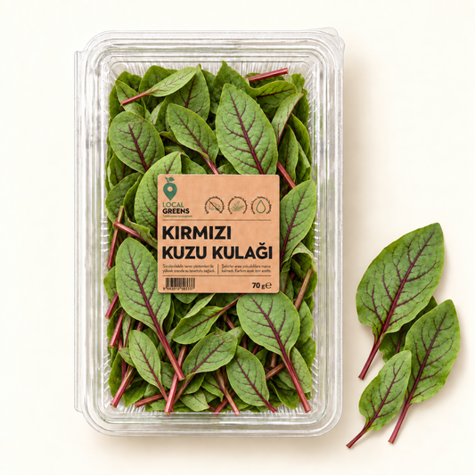 Kirmizi_Kuzu_Kulagi