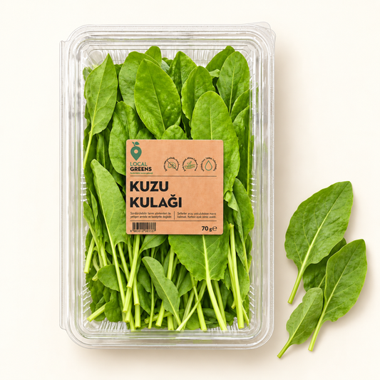 Kuzu_Kulagi