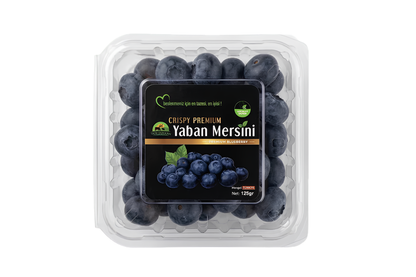 TazeDukkan-yaban-mersini