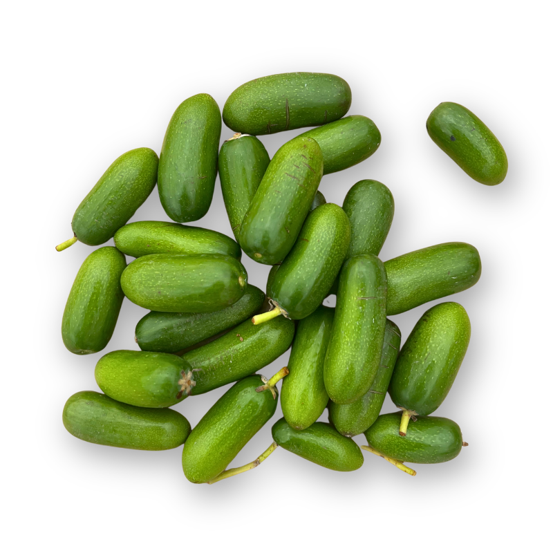 bebek-avokado