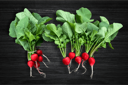 findik-turp-bag-local-greens