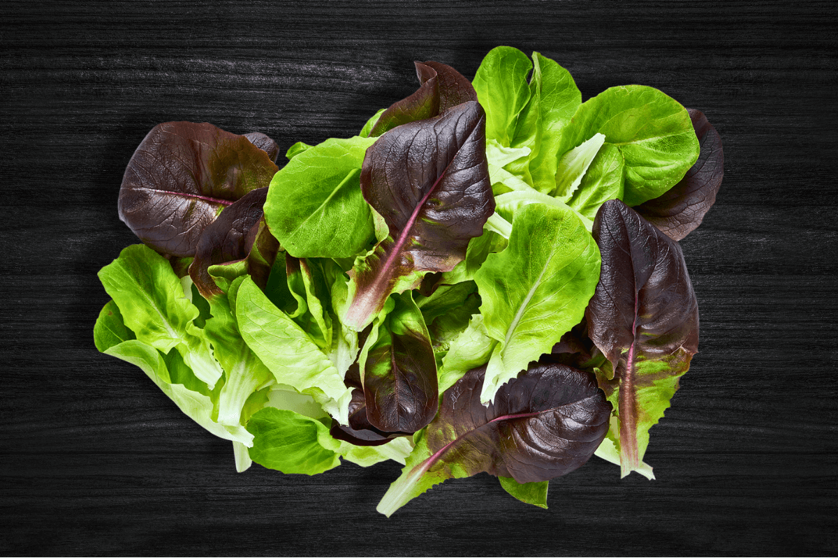 local-greens-ayiklanmis-paketli-gul-marul