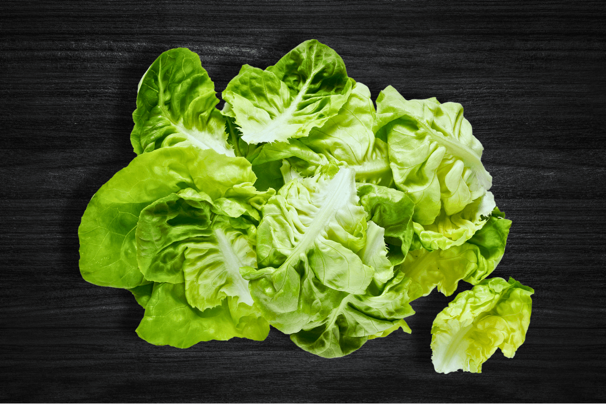 local-greens-ayiklanmis-paketli-yagli-marul