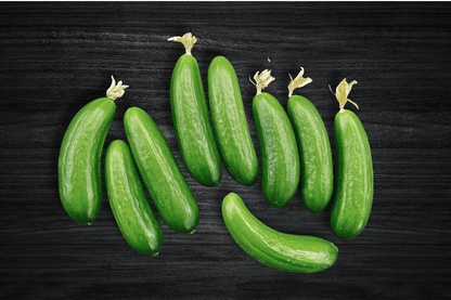 local-greens-cengelkoy-salatalik_8