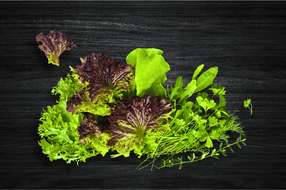 local-greens-ege-salata-acik