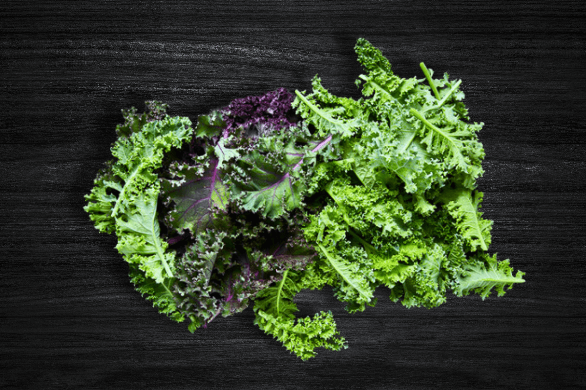 local-greens-kale-otu-bitkisi-yapraklari-ayiklanmis