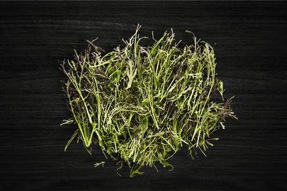local-greens-kirmizi-mizuna-ayiklanmis-paketli