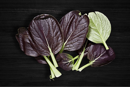 local-greens-kirmizi-pakchoi-pakcoy-bokcoy-ayiklanmis