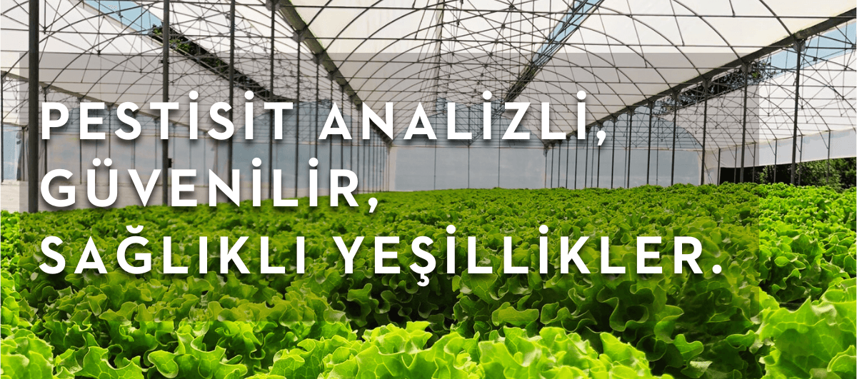 local-greens-pestisit-analizlerimiz-banner