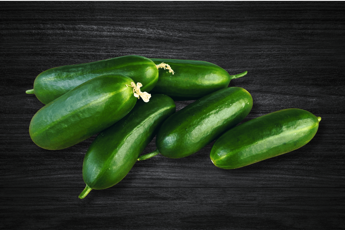 local-greens-tombul-cengelkoy-salatalik