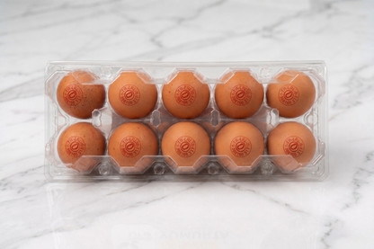organik-yumurta-organik-life-1
