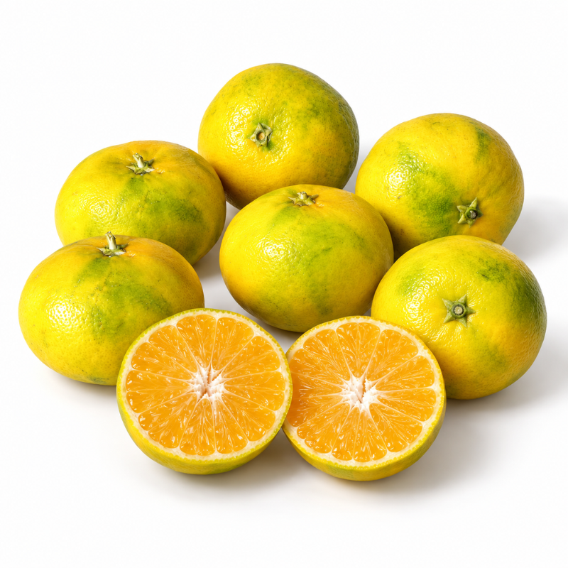 yesil-mandalina-naciye-hanim